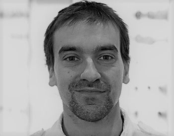 Philippe Dalois