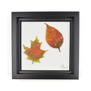 Tableau Larmes d'automne