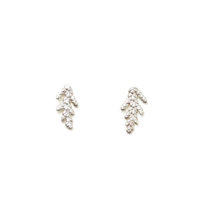 Boucles d'oreilles Cèdre