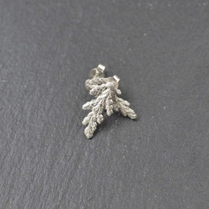Boucles d'oreilles Cèdre