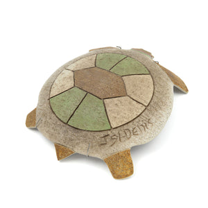 Tortue mutale mi-raku