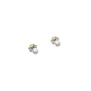 Boucles d'oreilles en argent
